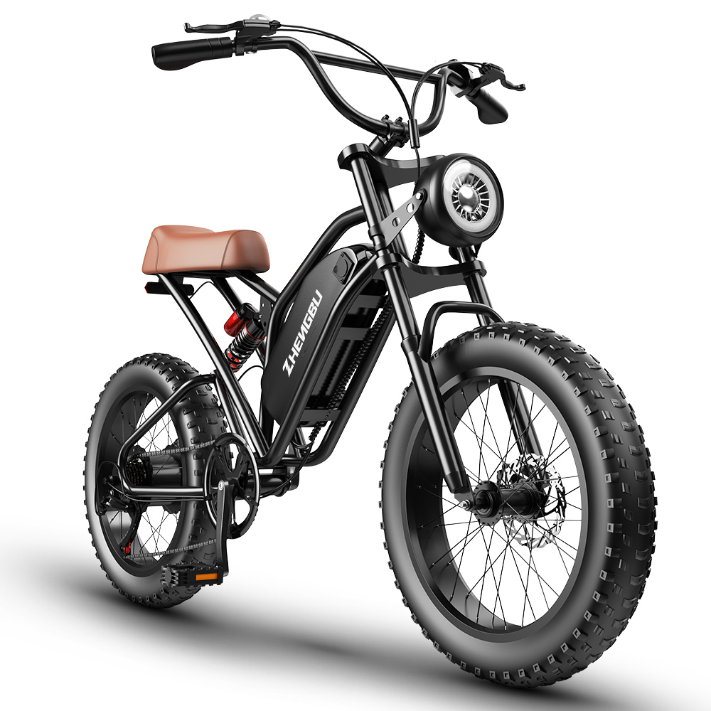 ZHENGBU EUY S4 20 Inch Ebike Mountain