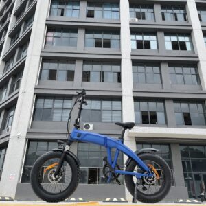 Pasebike EB05 Electric Commute Bike 