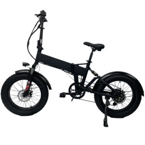 Pasebike EB03 Electric Commute Bike