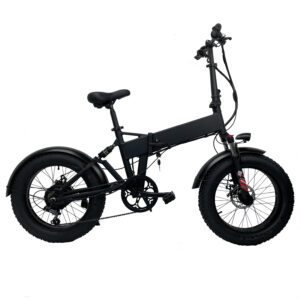 Pasebike EB03 Electric Commute Bike