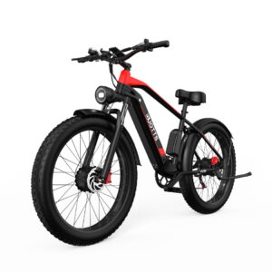 DUOTTS F26 Electric Commute Bike