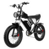 Ridbike Q20 Electric Bike